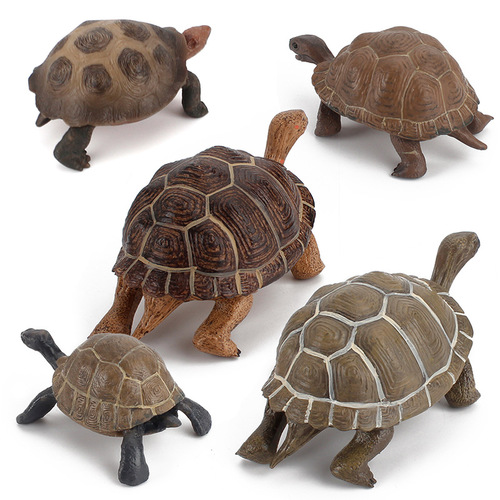 Solid simulation land turtle model, resembling tortoise, grass turtle, cross-border best-selling static turtle toy, decorative item, wholesale