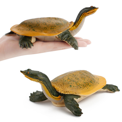 Foreign trade supply simulation freshwater turtle model softshell turtle Brazilian turtle static solid pet turtle king tortoise terrapin ornament