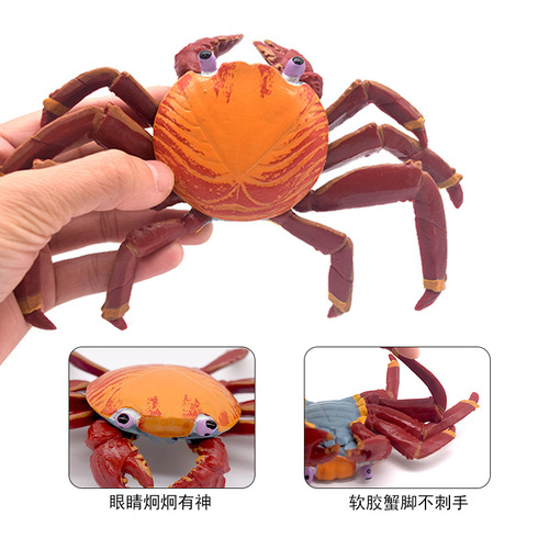 Cross-border marine toys solid crab hermit crab simulation toy model lobster popular science model children's toys