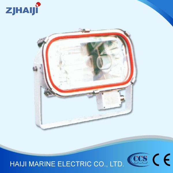 厂家直销 船用灯具 不锈钢品质 船用不锈钢投光灯TG11