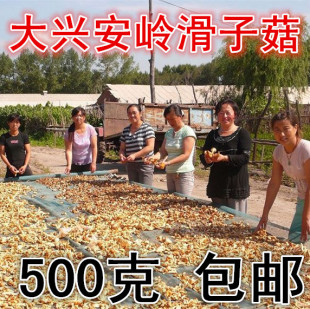 ���d���X�خa���ӹ����鹽��؛��Ģ��ʳ�þ���Ȼ����500��
