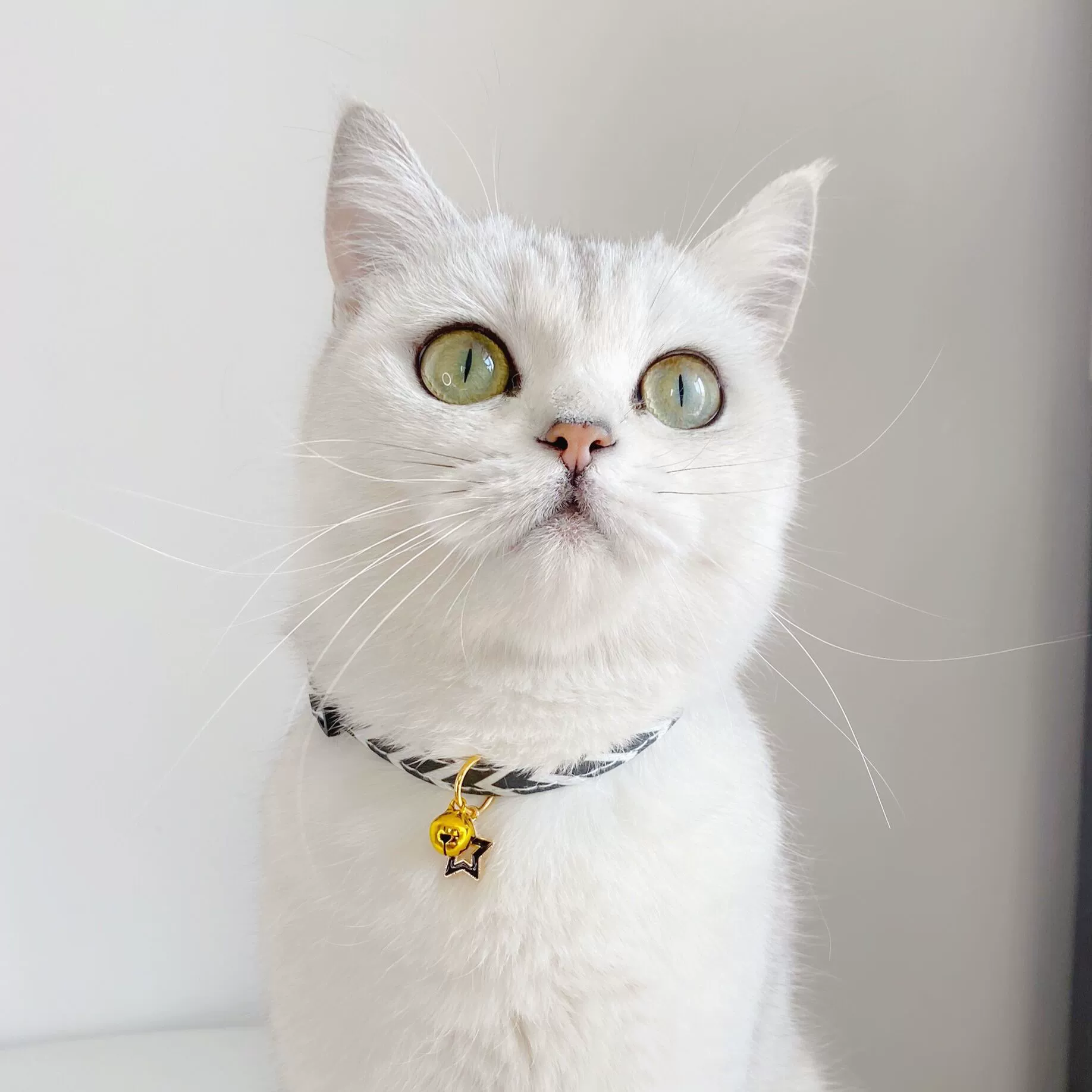 Рождество Амазонка Пятиконечная Звезда Геометрический Полосатый Колокольчик Регулируемый Домашнее Животное Кошка Собака Пряжка Воротник Цепочка На Шею Искусственная Кожа