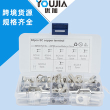 60只盒装 SC紫铜镀锡接线端子套装 铜线耳 SC窥口接线端子铜鼻子