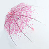 Factory wholesale flower umbrella and bird cage transparent umbrella beautiful princess arched mushroom umbrella cherry umbrella