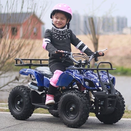 沙滩车;汽摩制造;其他摩托车