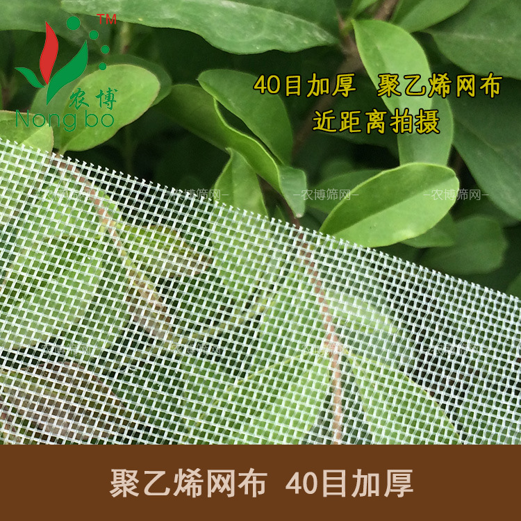 【农博筛网】40目加厚 厂家直销聚乙烯网布/泥鳅蚂蟥水蛭养殖网
