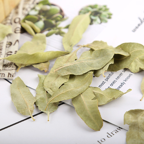 Wholesale base of Xinjiang Apocynum, direct supply of new bulk granules, Apocynum leaves, scented tea, large quantity, preferential shipping