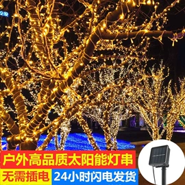 LED装饰灯;室内LED;室外LED