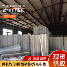 電焊網不銹鋼防鳥養殖網篩網防護隔離圍欄 養殖鴿籠狗籠地網