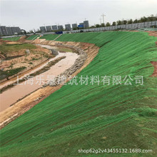 �ӵ������o�¹�·���懊��ֲ�����Sֲ���W�@�־G�����ѱ��o�W�F؛