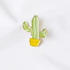 27 cactus