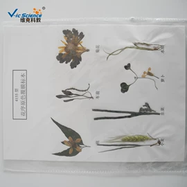 生物教学器材;医药教学器材;教学演示用品