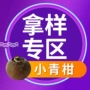 梅江茶乡样品陈皮普洱茶