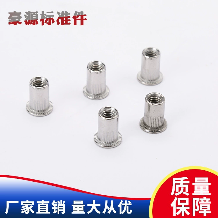 Гайка из нержавеющей стали 304 с плоской головкой и маленькой головкой с накаткой круглая Вертикальная внутренняя гайка с зерном M3M4M5M6M8M10M12