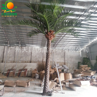 ���������Ж|������������쾰����䓺��������Ҭ�Ә����