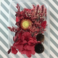 ���������b�ɻ����������z���ϰ�diy�ֹ���ӈF��������l