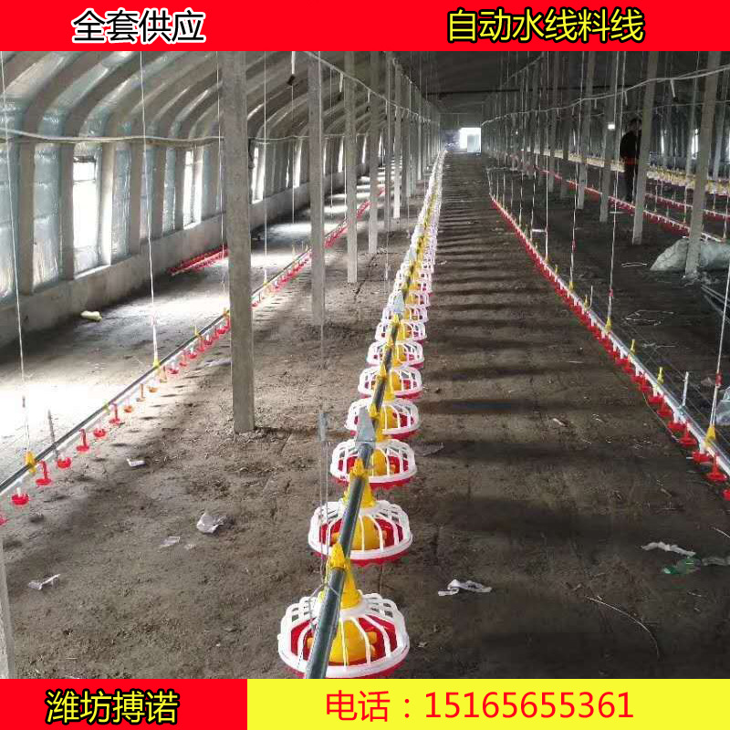 肉鸭种鸭料线 自动养殖喂料机 养鸭上料机 鸭用水线料线养鸡场