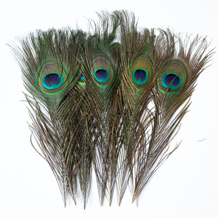 ��Ȼ��ȸë ���۾���ȸ��ë 25-30cm��ȸëdiy�Ʒ�����ë����