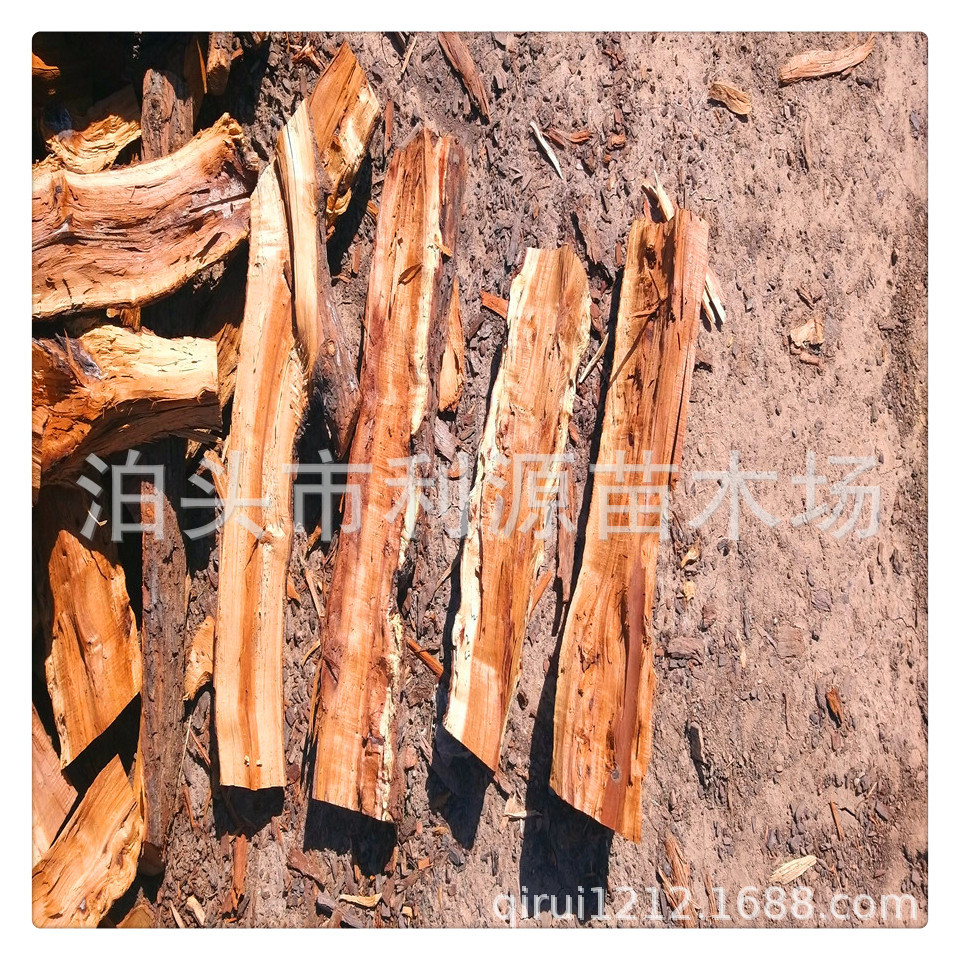 厂家现货供应柴火烤鸭木柴果木壁炉取暖柴干燥木质硬升温快