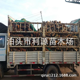 原木;竹木藤苇干草;木材加工