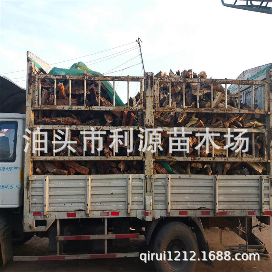 供应烤鸭店枣木 枣木柴火 木质硬  烤牛扒烤肉木柴  欢迎洽谈订购
