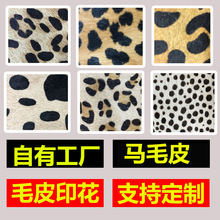 |ƤS^ţƤRëƤӡƤRëyyRyLi¹ë