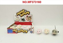 ����С����12ֻչʾ��ׯMF373160