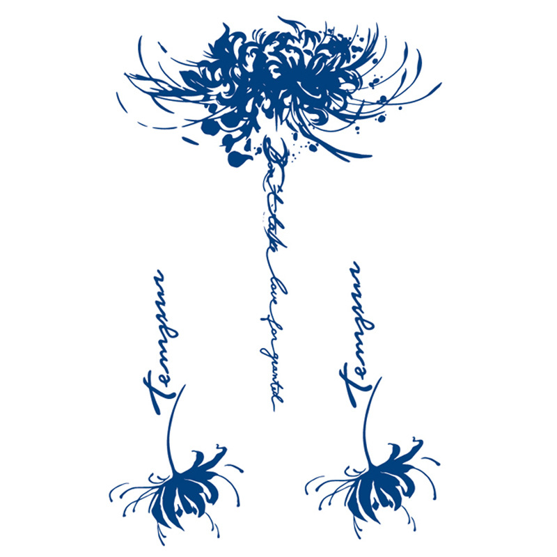 ジュースの紋章はネットの赤い紋章を貼って15日間の現物の卸売りの草本の植物の半永久の刺青のシールを持続します。