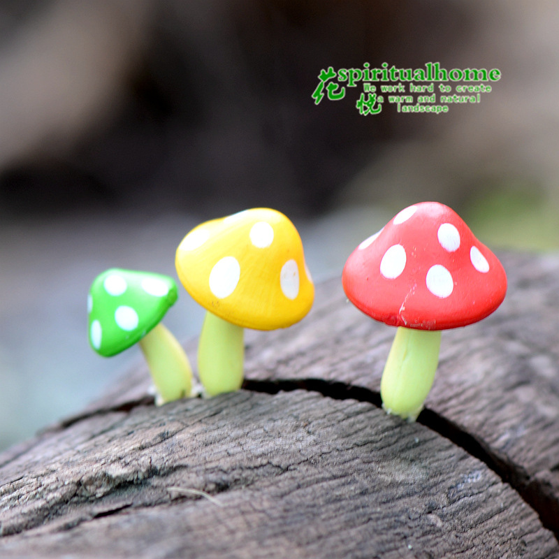 Micro -landscape cartoon mushroom succulent moss micro -landscape…