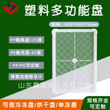 多功能全新料单冻器制作厂家 塑料烘干晾晒盘 桑葚柿子沥水晾干盘