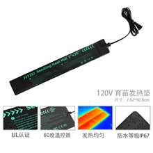 �m�ÿ��ղ�ơ�ưl��ֲ��lѿ�ӟ�|�l��|����늼ӟ���{��늟�Ĥ