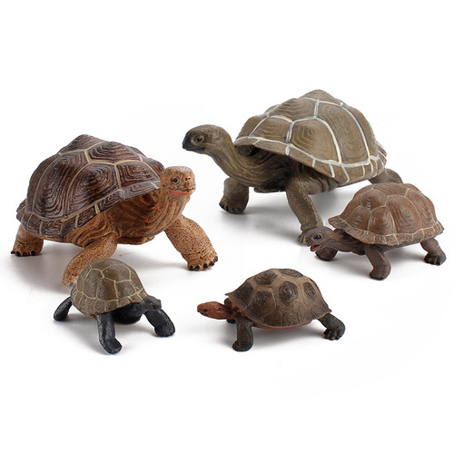 Solid simulation land turtle model, resembling tortoise, grass turtle, cross-border best-selling static turtle toy, decorative item, wholesale