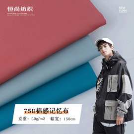 75D棉感记忆布  涤纶羽绒服风衣面料 秋冬防水户外服冲锋衣布料