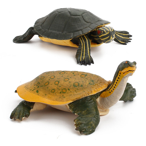 Foreign trade supply simulation freshwater turtle model softshell turtle Brazilian turtle static solid pet turtle king tortoise terrapin ornament