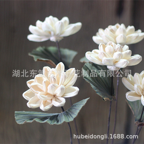 Lirio de agua planta fresca casa Café Bar tienda decoración del arte ramo flores secas loto Decoración