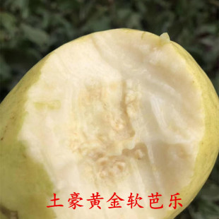 ��̨���S�����ͰŘ�����������rƷ�Ǽt�İŘ�5�����rˮ�����l