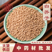 白芥子中药材批发零售 白芥子 农产品加工 生白芥子 白芥子原粉一
