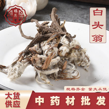 白头翁产地货源 供应冷背中药材 规格齐全老公花 品质好 量大从优