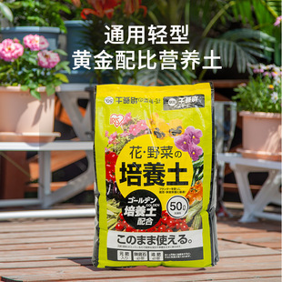 ����˼�p���S�����ͨ�àI�B���N���B�����⻨���¼������ЙC����