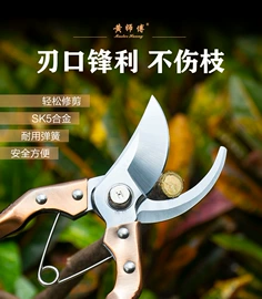 修枝剪;其他园林工具;不锈钢厨用刀