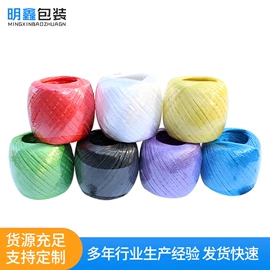 捆绑带;捆扎绳;束线带