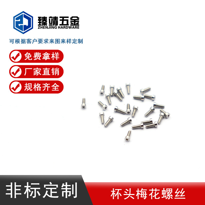 精密钟表表壳装饰螺丝手表螺钉不锈钢杯头梅花T1非标定制螺纹
