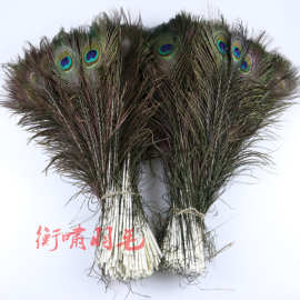 现货供应40-50cm天然孔雀毛翎尾 孔雀羽毛 花瓶插花羽毛DIY装饰