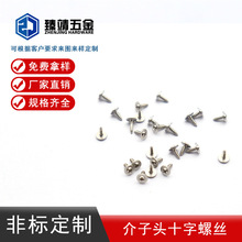 非标定制精密不锈钢电子自攻螺丝圆头标大垫片介子头十字订做螺钉