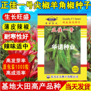 �|�����������N������һ̖��ǽ��� ��Ƥ����S�GƤ�L�����˷N��