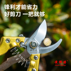 Pruning Shears Fruit Tree Scissors Branch Pruner Labor-saving SK5 Steel Tree Pruner Garden Shears Landscape Tool Flower Arrangement Scissors
