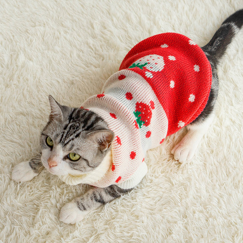 Manufacturer wholesale pet clothes autumn and winter cat clothes fashionable sweaters thickened warm teddy pet clothes sweaters