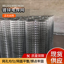 不銹鋼電焊網304焊接防鳥養殖網安全防護網片 不銹鋼編織過濾網