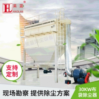 30KW布袋除尘器水泥厂粉尘收集器锅炉集尘工业收尘处理设备直供厂