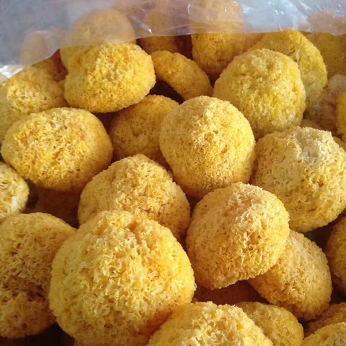 Dried Edible Fungus Chou'er - Gutian Silver Ear Mushroom 500g Silver Ear Soup Tremella Fungus Jelly Soft and glutinous Chou'er - Fujian Manufacturer